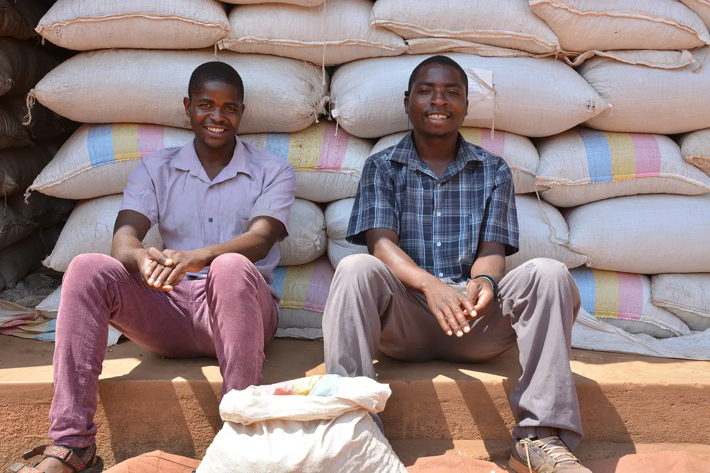 Sacks of harvested grain stacked in a store