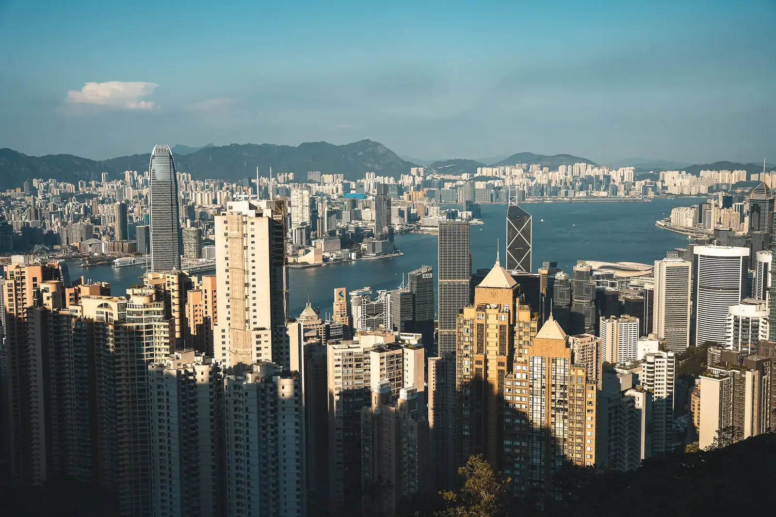 City skyline seen from a hillside