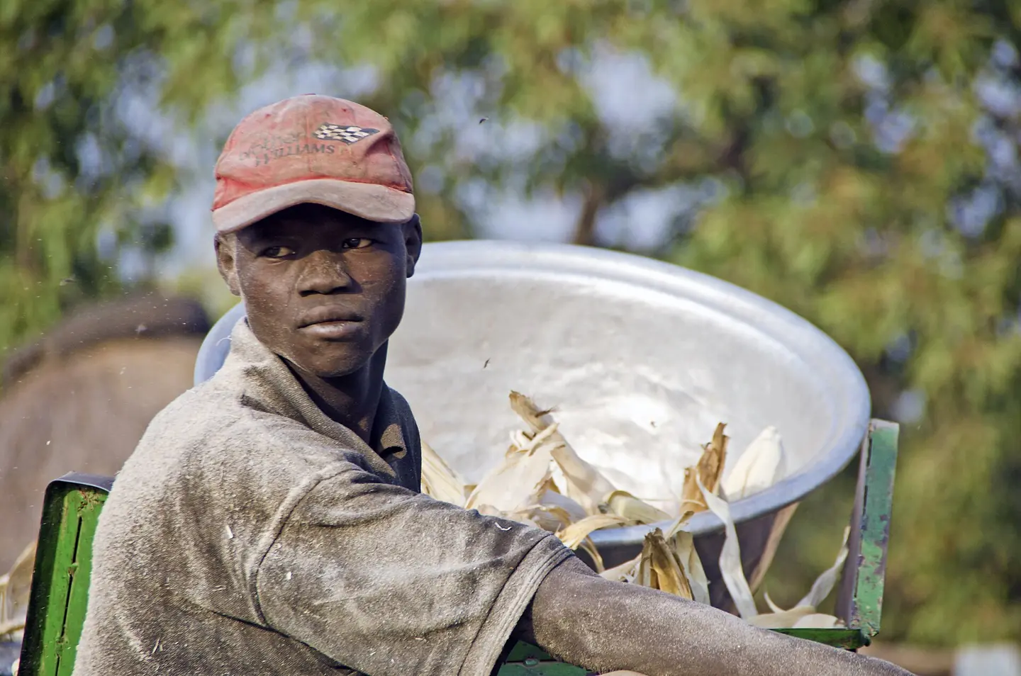 A farmer holding harvested maize