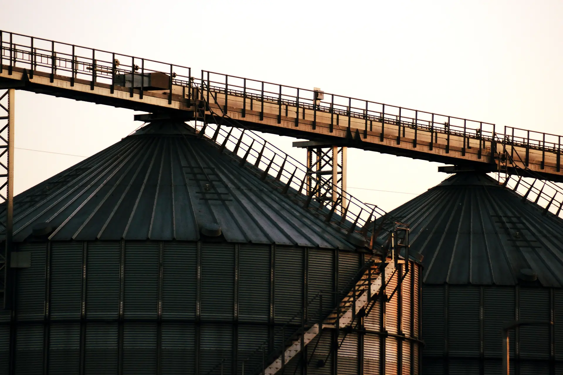 Grain silos with a conveyor gantry