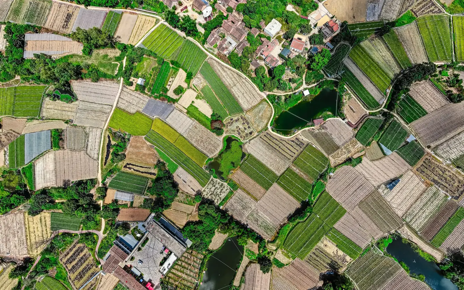 Aerial view of patchwork smallholder farmland