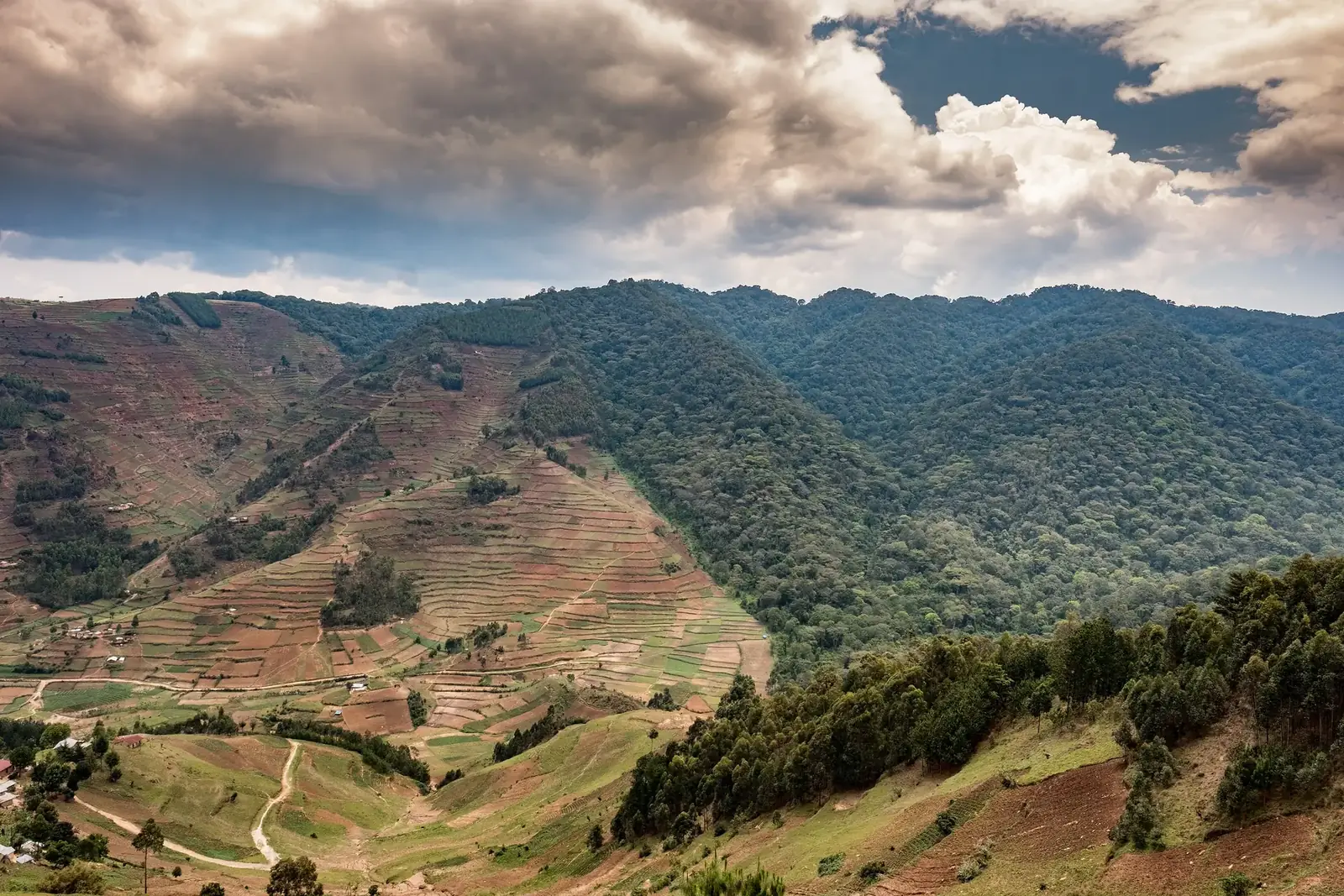 Terraced hillsides under a cloudy sky in Uganda
